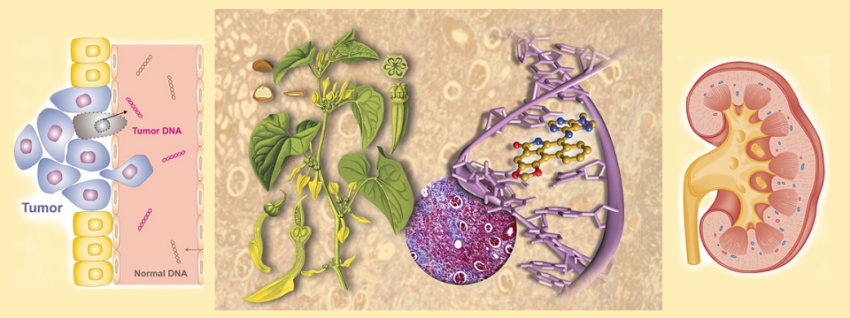 Zickler Laboratory of Chemical Biology (LBC) | Renaissance School